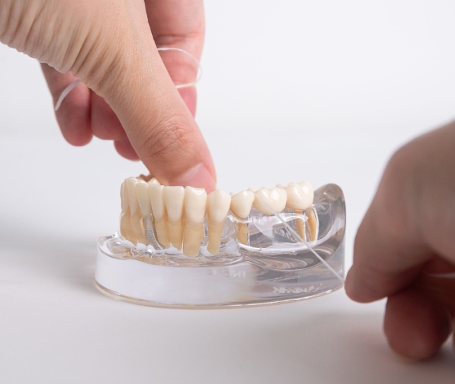 Hand demonstrating dental flossing technique on a dental model, highlighting the importance of oral hygiene and plaque removal during dental cleanings.